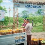 BRI Berdayakan 4.909 Desa BRILiaN, Wujudkan Semangat Asta Cita Untuk Pemerataan Ekonomi