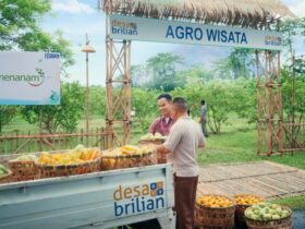 BRI Berdayakan 4.909 Desa BRILiaN, Wujudkan Semangat Asta Cita Untuk Pemerataan Ekonomi